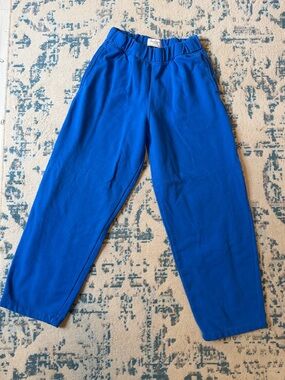 AE Barrel Leg Sweats